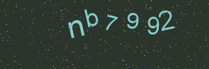 Validation image