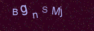 Validation image